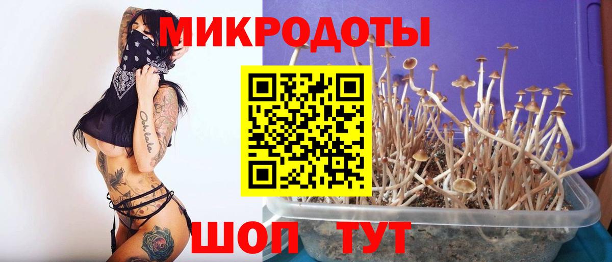 Галлюциногенные грибы GOLDEN TEACHER  Вход с VPN  Беслан 